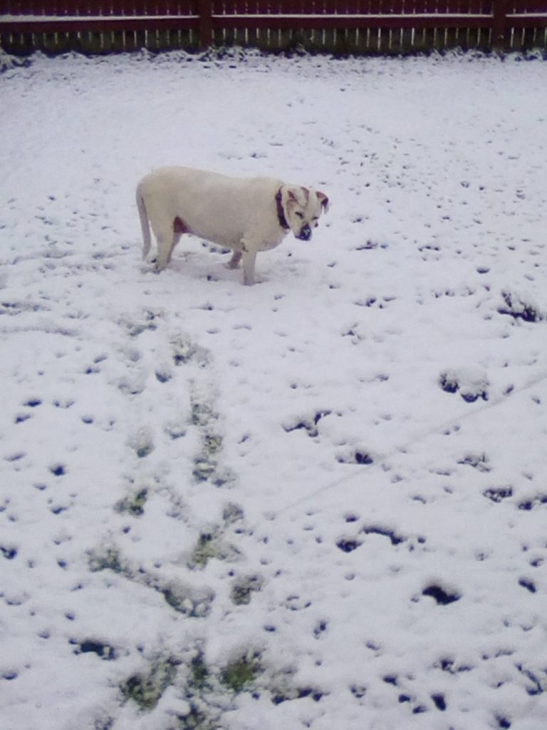 inbound7593049759319052857