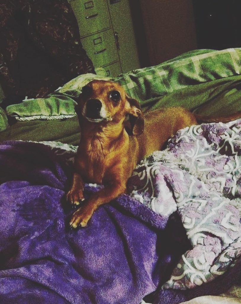 54D85CBA-5C68-4B4E-92A7-BCEFBBA8979F