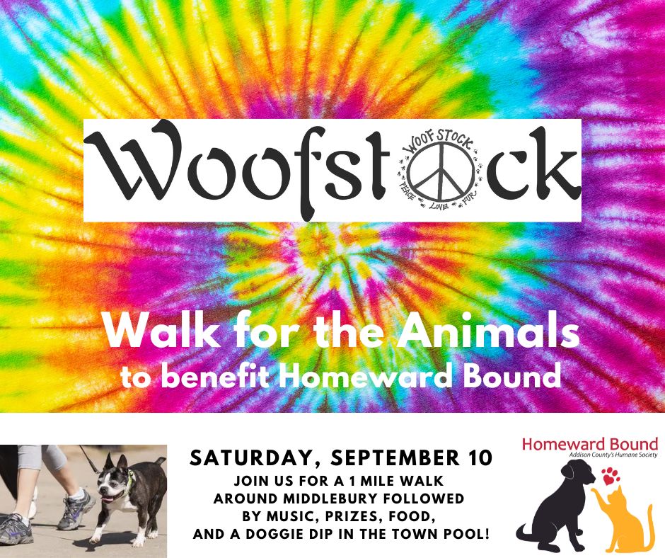 Woofstock Walk for the Animals Infographic