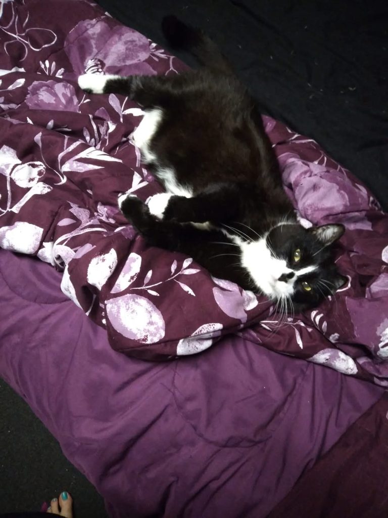 FB_IMG_1748642621517