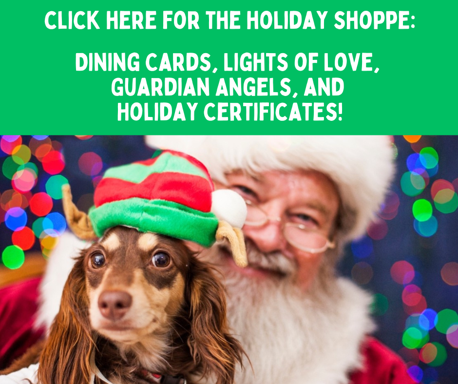 2025 holiday website graphic