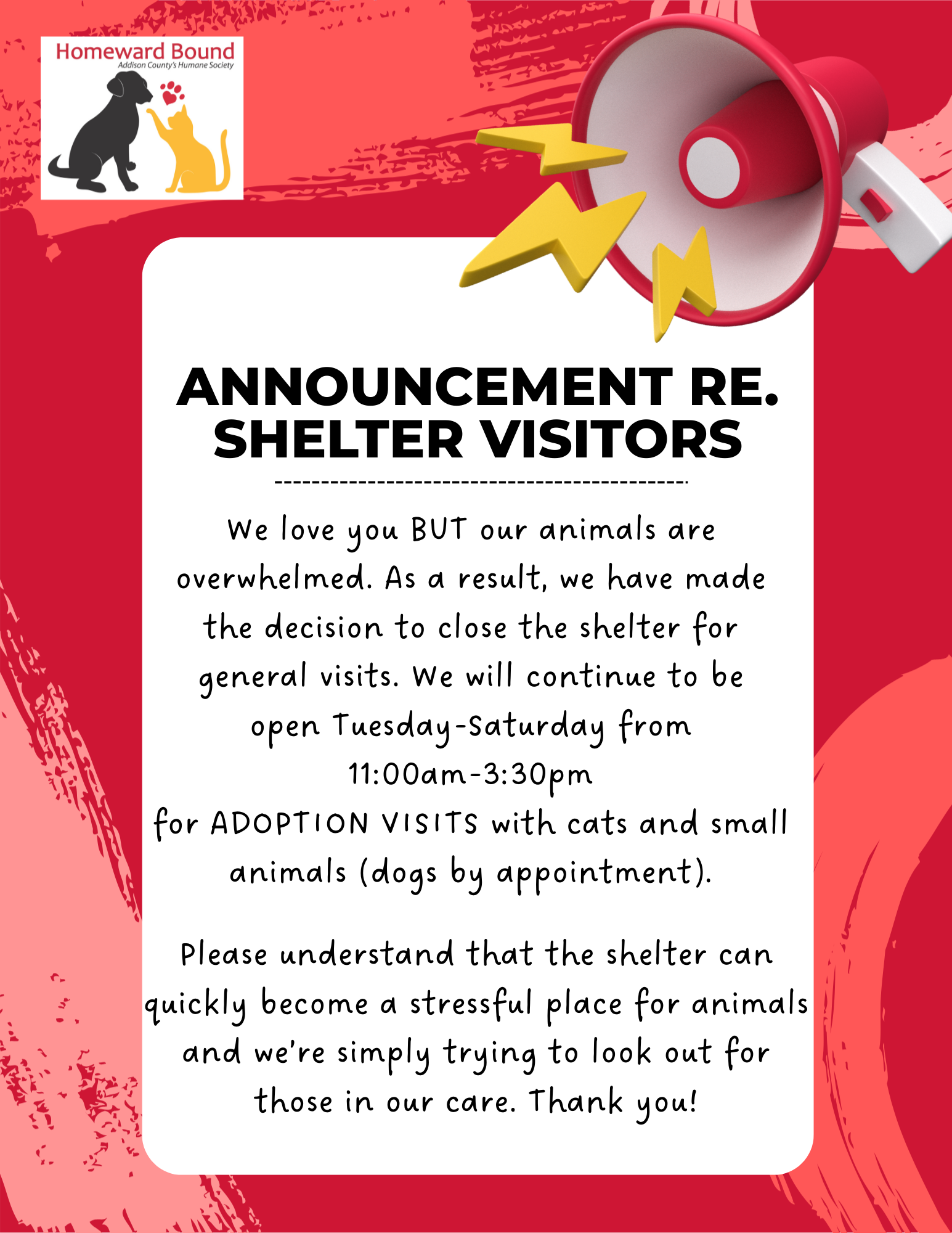 shelter visitors
