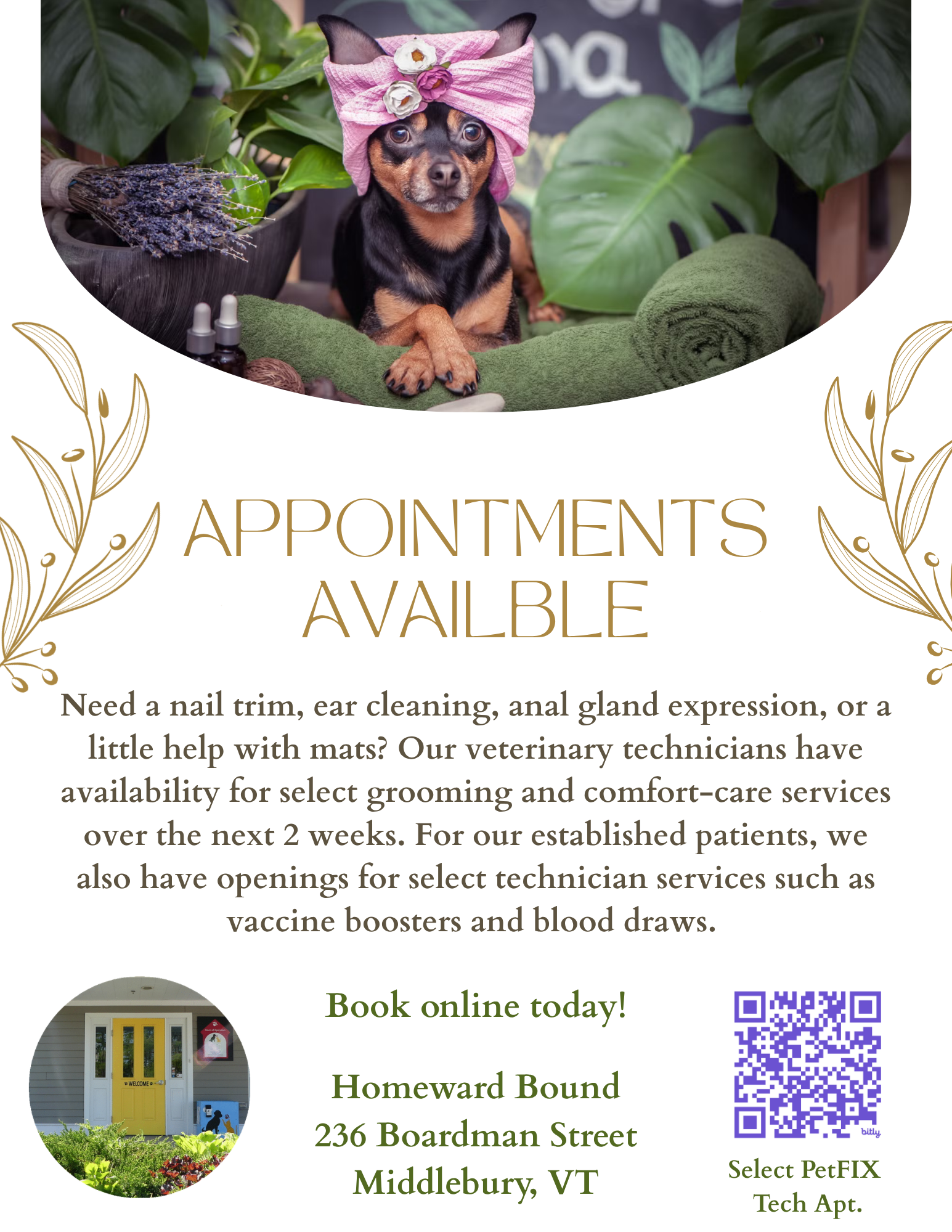 Spa visits for pets available!
