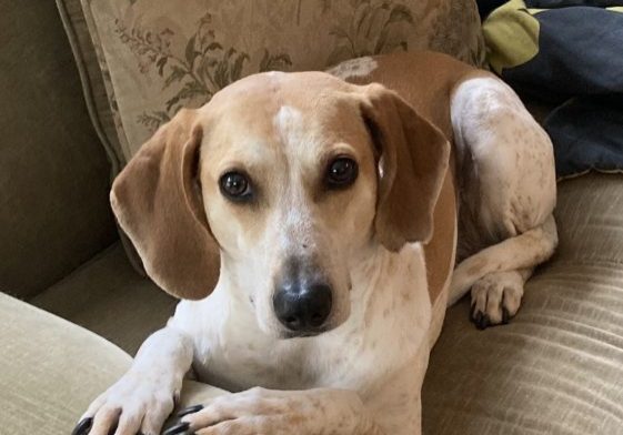 2b23db5ec89df173e138eb8982d44cec