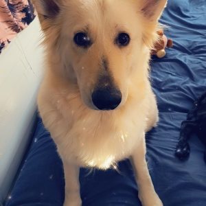 Cl4KVlNuYXBjaGF0LzEzLjcyLjAuNTUgKG1vdG9yb2xhIHJhenIgMjAyNTsgQW5kcm9pZCAxNSM0MGI5NzEtYjFkNjExIzM1OyBnemlwKSBWL01VU0hST09NEK6uwLZm