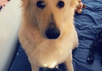 Cl4KVlNuYXBjaGF0LzEzLjcyLjAuNTUgKG1vdG9yb2xhIHJhenIgMjAyNTsgQW5kcm9pZCAxNSM0MGI5NzEtYjFkNjExIzM1OyBnemlwKSBWL01VU0hST09NEK6uwLZm