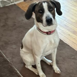 c13d4f6e30a41cd1bd8c7a2cf39bc0c4